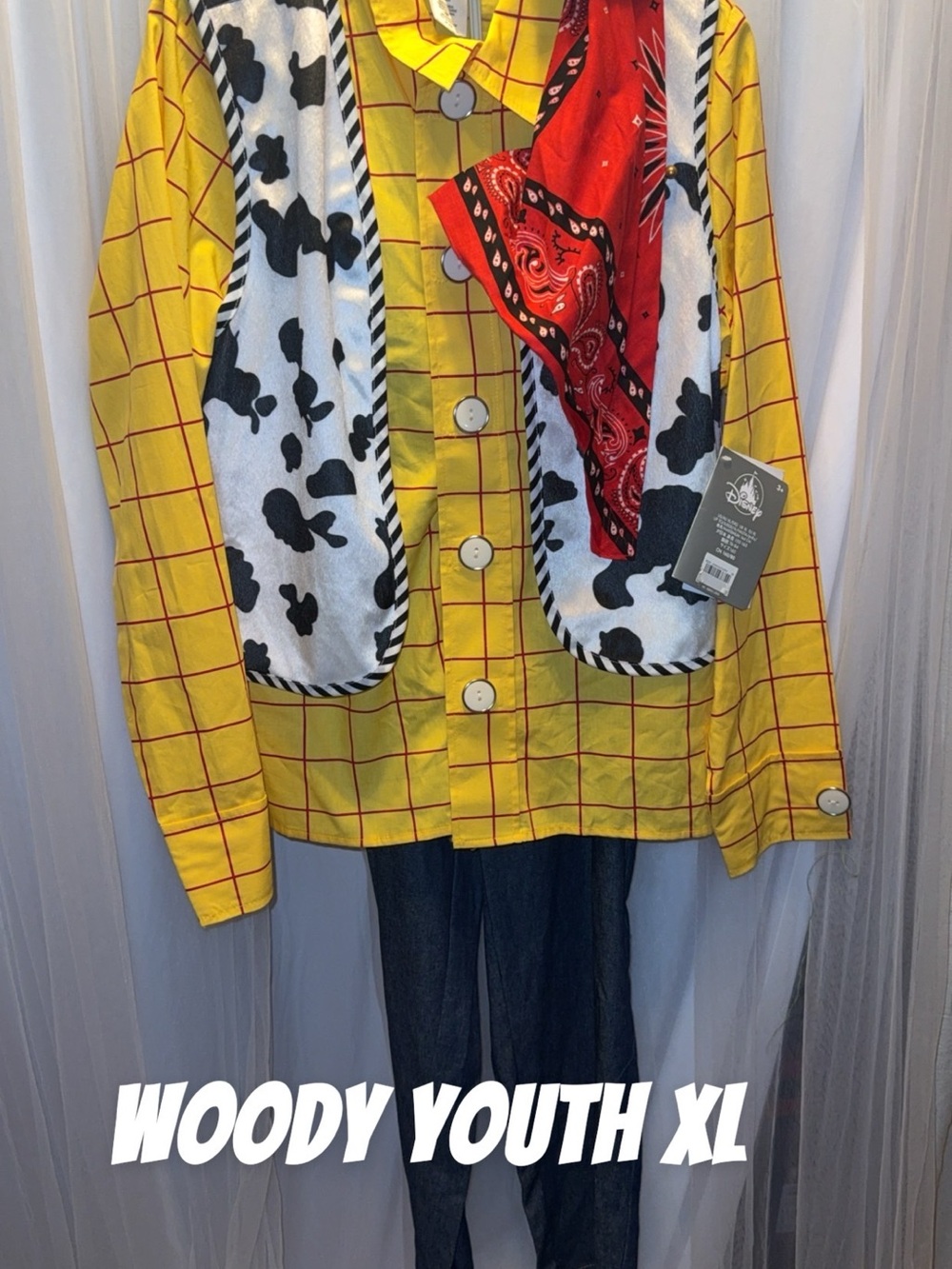 Disney Woody Youth XL Yellow Plaid Cowboy Costume Shirt & pants with Red Bandana